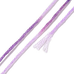 Medium Purple 10 Skeins 6-Ply Polyester Embroidery Floss, Cross Stitch Threads, Segment Dyed, Medium Purple, 0.5mm, about 8.75 Yards(8m)/skein