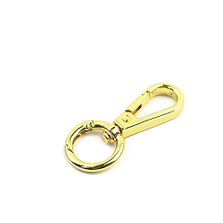 Золотой Поворотные шарниры из сплава цинка, с пружинными кольцами ворот, золотые, 56 мм