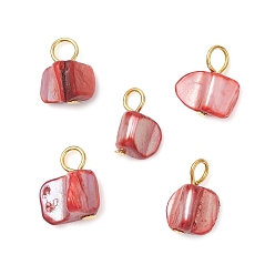 Золотой Подвески из натуральных окрашенных морских ракушек, с железными петлями, красные, золотые, 13~14.5x7.5~11.5x8~9 мм, отверстие : 3 мм