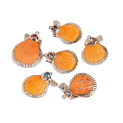 Mixed Color Electroplated Golden Brass Trim Natural Sea Shell Pendants, Shell Shape Charms, with Rhinestone, Mixed Color, 32~40x25~29.5x5.5~7.5mm, Hole: 1.6~1.8mm