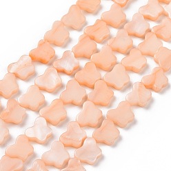 Персиковый Слойка Естественных пресноводных оболочки бисер нитей, окрашенные, бабочка, розовые, 8x10x2.5 мм, отверстие : 0.8 мм, около 40 шт / нитка, 15.39'' (39.1 см)