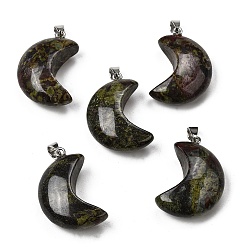 Кровь драконов Натуральные подвески для крови дракона, подвески в виде луны 304 с защелками из нержавеющей стали, цвет нержавеющей стали, 34~34.5x23~23.5x12~12.5 мм, отверстие : 6.5x4 мм