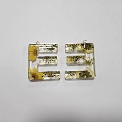 Letter E Подвески из прозрачной эпоксидной смолы, подвески-буквы с петлями, Письмо E, 41.5x31.5x8 мм, отверстие : 2 мм