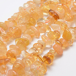 Citrine Natural Citrine Beads Strands, Nuggets, Dyed & Heated, 12~20x6~8mm, Hole: 1mm, 15.3 inch(39cm)