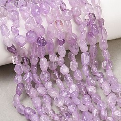Аметист Нити бусин из натурального лавандового аметиста, самородки, упавший камень, 6~12x5~7x3.5~4.5 мм, отверстие : 0.7~0.8 мм, около 21~24 шт / нитка, 7.87''~8.39'' (20~21.3 см)
