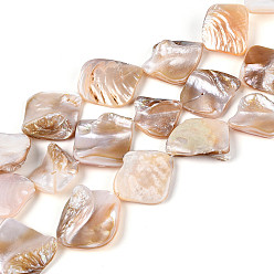 Морская Ракушка Естественных пресноводных оболочки бисер нитей, самородки, цвет морской раковины, 14.5~24x12~23x3~10 мм, отверстие : 0.5~0.6 мм, около 19~21 шт / нитка, 14.96~15.24'' (38~38.7 см)