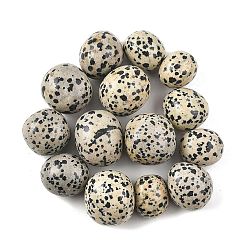 Далматинских Джаспер Натуральные далматинские бусы, обваленные камни, нет отверстий / незавершенного, самородки, 20~56x18~30.5x8~28 мм