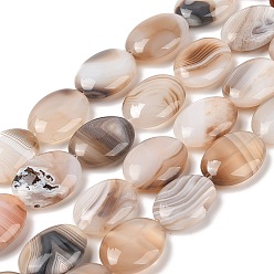 Фора Натуральные полосатые агатовые / полосатые агатовые бусинки, Плоско-овальные, окрашенная и подогревом, оранжевые, 18~19x24x7~8 мм, отверстие : 1.2 мм, около 16 шт / нитка, 15.75'' (40 см)