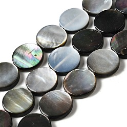 черная губная раковина Натуральный черный оболочки губ бисер нитей, плоско-круглые, 14~14.5x3 мм, отверстие : 1.2 мм, около 28 шт / нитка, 15.67'' (39.8 см)