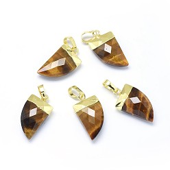 Tigerauge Natürlichen Tigerauge Anhänger, mit langlebigen Messingbeschlägen, facettiert, Scheide, golden, 19.5x11x5 mm, Bohrung: 3.5x5.5 mm