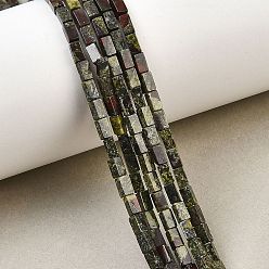 Кровь драконов Бисер натуральный дракон крови пряди, кубоид, 4~4.5x2~2.5x2~2.5 мм, отверстие : 0.9 мм, около 85 шт / нитка, 14.96'' (38 см)