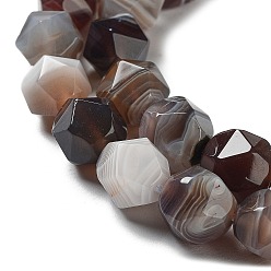 Agate De Botswana Naturelles agate Botswana chapelets de perles, facette, étoiles coupées perles rondes, 10x10x10mm, Trou: 1.2mm, Environ 39 pcs/chapelet, 15.35 pouce (39 cm)