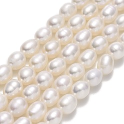 Льняное Полотно Нити из натурального культивированного пресноводного жемчуга, рис, белье, 6~6.5x5~5.5 мм, отверстие : 0.7 мм, около 50~53 шт / нитка, 13.78'' (35 см)