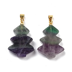 Fluorite Natural Fluorite Pendants, with Golden Tone Brass Findings, Tree, 26~27x18.5~19x5.5mm, Hole: 5x4mm