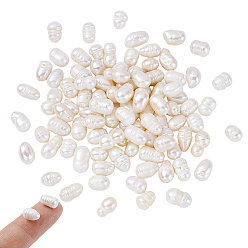 Морская Ракушка Нити из натурального культивированного пресноводного жемчуга, рис, цвет морской раковины, 7~9x6~7 мм, отверстие : 0.5 мм, около 22~23 шт / нитка, 7.09 дюйм (18 см), 5 пряди / коробка