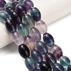 Флюорит Природного флюорита бисер нитей, рис, 14~15x10~10.5 мм, отверстие : 0.8 мм, около 28 шт / нитка, 15.75'' (40 см)