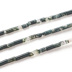 Мосс Агат Природные моховой агат бисер нитей, колонка, 4~5x2.2 мм, отверстие : 0.8 мм, около 85~99 шт / нитка, 15.75 дюйм (40 см)