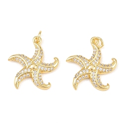 Прозрачный Латунные микро проложить кубического циркония подвески, прелести морская звезда, долговечный, стойки покрытие, без свинца и без кадмия, с целью перехода в кольце, реальный 18 k позолоченный, прозрачные, 21x19x2.5 мм, Перейти кольцо: 5x1 мм, внутренний диаметр: 3 мм