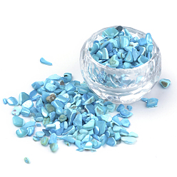 Deep Sky Blue Natural Sea Shell Beads, No Hole, Dyed, Chip, Deep Sky Blue, 2~15x2~10x1~5mm