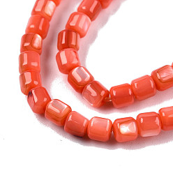 Orange Red Natural Freshwater Shell Beads Strands, Dyed, Column, Orange Red, 3.5x3.5mm, Hole: 0.8mm, about 110~113pcs/strand, 14.69 inch~15.08 inch(37.3~38.3cm)