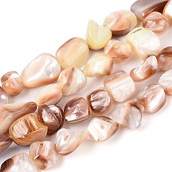 Перу Природные морские раковины бисер нитей, самородки, Перу, 9~21x7.5~24x3~12 мм, отверстие : 0.5~0.7 мм, около 28~34 шт / нитка, 14.57~15.35 дюйм (37~39 см)