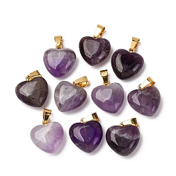 Аметист Подвески из натурального аметиста , с фурнитурой латунной золотого тона, очарование пухлого сердца, 18x15~15.5x6~8 мм, отверстие : 6x3 мм