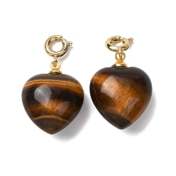 Тигровый глаз Подвеска в форме сердца из натурального тигрового глаза., с медными застежками, золотые, 24.5~25.5 мм, отверстие : 3 мм