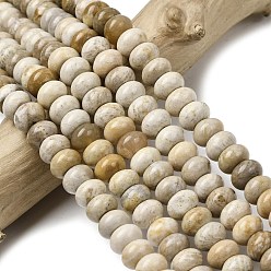 Ископаемый коралл Природные окаменелые коралловые бусы пряди, рондель, 8.5x5.5 мм, отверстие : 1 мм, около 73 шт / нитка, 15.35'' (39 см)