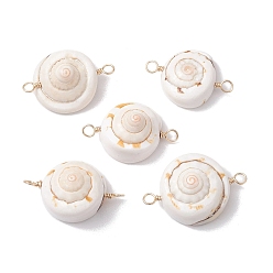 Shell Shape Natural Shiva Eye Shell Links Connector Charms with Real 18K Gold Plated Copper Wire Double Loops, Shell Shape, 32x21x13mm, Hole: 2mm