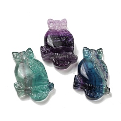 Флюорит Природного флюорита подвески, сова прелести, 44~46x29~31x7.5~10 мм, отверстие : 1.4 мм