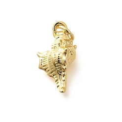 Настоящее золото 18K Латунные подвески, раковина, стойки покрытие, долговечный, без свинца и без кадмия, реальный 18 k позолоченный, 15.5x8.5x6.5 мм, отверстие : 3 мм