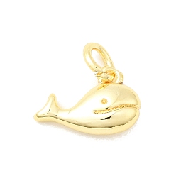 Настоящее золото 18K Латунь прелести, кит, долговечный, стойки покрытие, с целью перехода в кольце, реальный 18 k позолоченный, 8x12x4 мм, отверстие : 3.2 мм