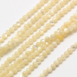 Creamy White Shell Round Beads Strands, Natural Color, Creamy White, 2mm, Hole: 0.8mm, about 184pcs/strand, 16 inch