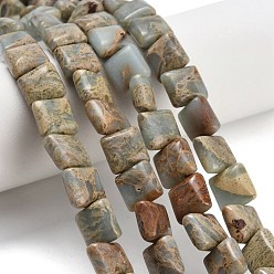 Аква Терра Яшма Натуральные бусины из аква терра яшмы, квадратный, 8x8x3.5~4.5 мм, отверстие : 1.2 мм, около 52 шт / нитка, 15.94~16.14'' (40.5~41 см)