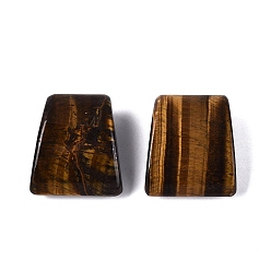 Тигровый глаз Природных тигровый глаз подвески, трапециевидные подвески, 27.5~28.5x24~25x13~13.5 мм, отверстие : 3.5~4.5 мм