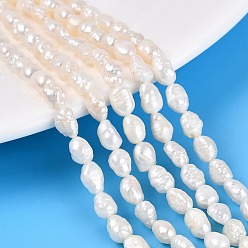 Ivoire Perles de perles de keshi baroques naturelles, culture des perles perles d'eau douce, deux faces polies, blanc crème, 4~13x4.5~5.5x2.5~5mm, Trou: 0.5mm, Environ 45~60 pcs/chapelet, 15.16~15.94 pouce (38.5~40.5 cm)