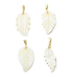 (404) Непрозрачное AB Кислое яблоко Резные подвески из натуральных пресноводных ракушек, лист прелести, с защелкой из нержавеющей стали на поручнях, золотые, цветочный белый, 40~42x17~25x3~4 мм, отверстие : 7x3.5 мм