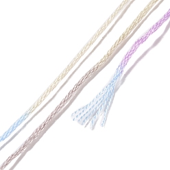 Lilac 10 Skeins 6-Ply Polyester Embroidery Floss, Cross Stitch Threads, Segment Dyed, Lilac, 0.5mm, about 8.75 Yards(8m)/skein