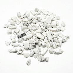 Howlite Natural Howlite Beads, No Hole/Undrilled, Chip, 5~20x5~10x3~10mm, about 850pcs/1000g