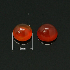 Красный Агат Натуральный красный агат кабошонов, круглые, красные, 5x2.5~3 мм