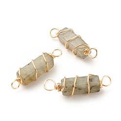 Labradorite Natural Labradorite Connector Charms, with Golden Tone Copper Wire Wrapped, Cuboid, 22~23.5x6~7x5.5~6mm, Hole: 2.5~3.2mm