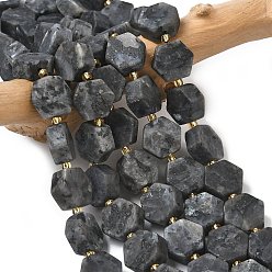 Larvikite Натуральные нити бус из ларвикита, форма шестиугольника, с бисером, 12~12.5x13.5~14.5x6~6.5 мм, отверстие : 0.8~1 мм, около 27~29 шт / нитка, 15.71'' (39.9 см)