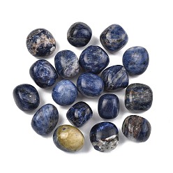 Содалитовое Бусины из природных содалитом, обваленные камни, нет отверстий / незавершенного, самородки, 20~56x18~30.5x8~28 мм