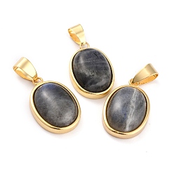 Labradorite Natural Labradorite Pendants, with Golden Brass Findings, Oval, 21.5x14x6mm, Hole: 7x4mm