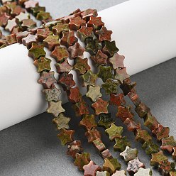 Унакит Природные Unakite бисер нитей, звезда, 6x6x2.5 мм, отверстие : 0.7 мм, около 71~73 шт / нитка, 14.37''~14.96'' (36.5~38 см)
