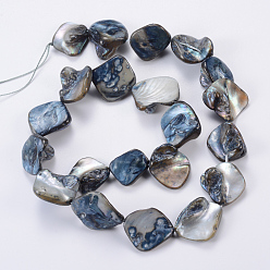 Black Natural Sea Shell Beads, Irregular, Black, 14~23x18~20mm, Hole: 1mm, 22pcs/strand, 16 inch/strand