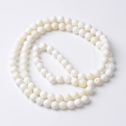 White Natural Shell Round Bead Strands, White, 8.5mm, Hole: 1mm, about 47pcs/strand, 15.4 inch