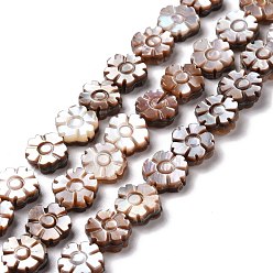 Autres Coquillages De Mer Brins de perles de coquillage violet naturel, fleur, 9.5~10x10x3~3.5mm, Trou: 0.6mm, Environ 40~42 pcs/chapelet, 15.16~15.75 pouce (38.5~40 cm)