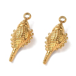 Золотой 304 подвески из нержавеющей стали, очарование раковины, золотые, 20.5x8.5x5 мм, отверстие : 1.5 мм