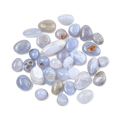 Синий Кружевый Агат Натуральные синие кружевные агатовые бусины, обваленные камни, нет отверстий / незавершенного, самородки, 15~40.5x11~20x7~19 мм